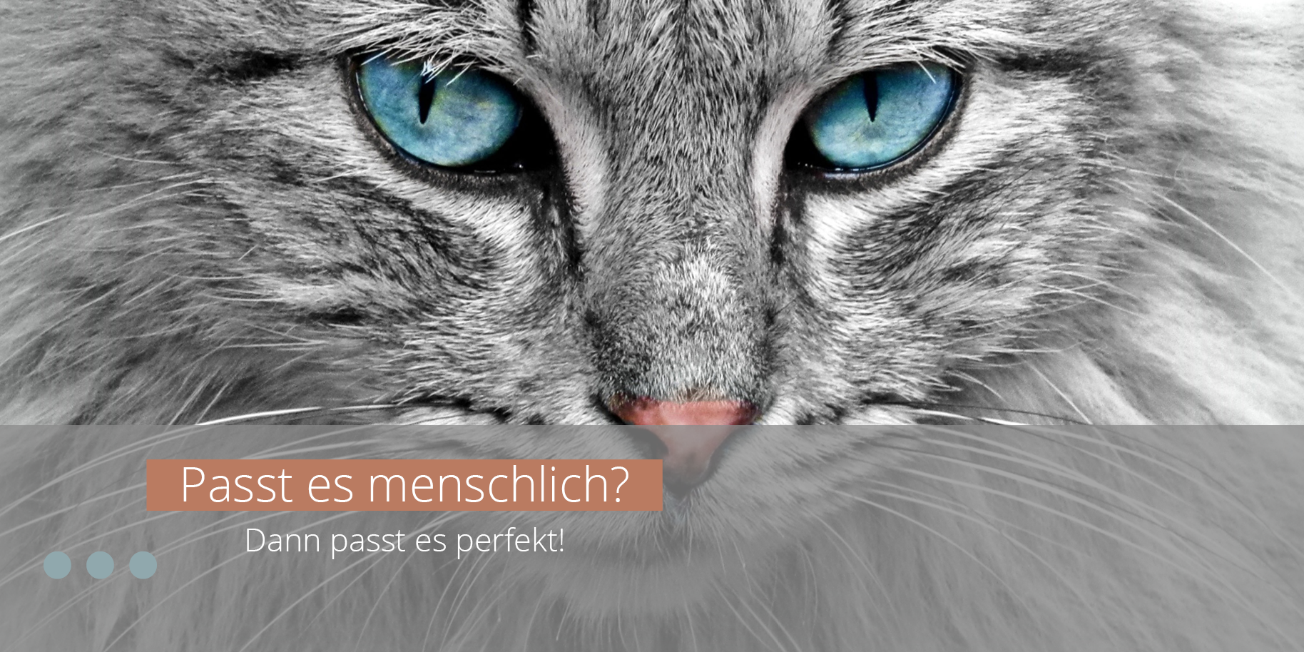 Teaserbild Die Tierarztpraxis Kerstin Labann GmbH